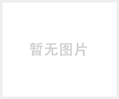 乐背尔秋季童t恤 英伦风新款纯棉长袖圆领男童T恤 品牌童装批量订制